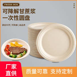 一次性圆盘外卖打包轻食便当餐盒一次性餐盘烧烤小吃糕点打包餐具