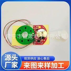 玩具配件;集成电路;电子模块