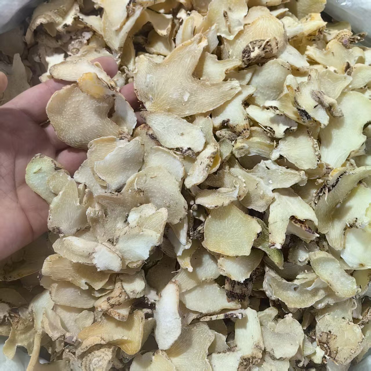 Bai Ji Powder 白芨粉 Dried Bletilla Rhizome Powder Yunnan Herbal Powder 500g quality and texture