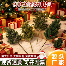 ������֦��֧ �}�Q�b���ᘰ�֦ ɭϵ�ҾӾGֲ�쾰�٘�֦�S�����l