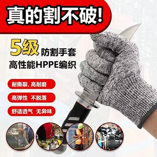 ���и������弉������̄ڱ�������ĥ�����������N�ϵ���s�����m