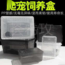 人渣盒爬虫箱螳螂跳蛛养蚕饲养盒爬行动物睫角寄居蟹饲养箱