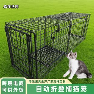 ���Q��������ֻ�M�������������Ԅӿ��ۯB��̖׽���T��؈�����߻\