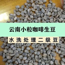 云南小粒二级咖啡生豆水洗生豆商用练习豆16目阿拉比卡咖啡批发豆
