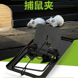 镰刀;不锈钢厨用刀;其他刀