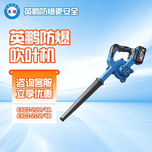 Yingpeng explosion-proof leaf blower dust leaf cleaning petrochemical workshop lithium hair dryer handheld blower