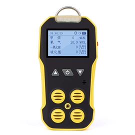 氧气检测仪;其他气体分析;气体检测仪