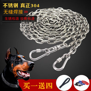 304���P䓹����С��Ȯ����Ȯ����Ȯ�F��Ȧ���K˨���朗l����
