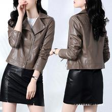 春秋冬新款显瘦西装领洋气进口绵羊皮机车服外套皮衣女短款修身