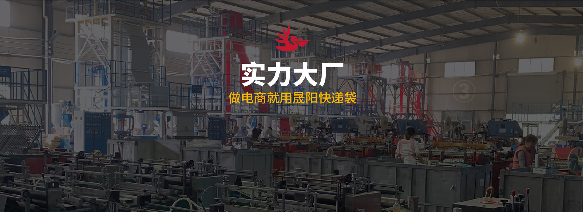 店招_画板 1 副本 4