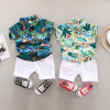 Summer children's sleeves, set, T-shirt, summer clothing for boys, children's clothing, 0-4 years, wholesale