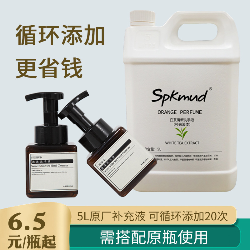 泡沫洗手液250ml消毒 宾馆酒店浴场白茶洗手液5L补充液大桶装|ms