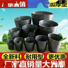 ��ľ�I�B������һ���Դ�������N���辰�Nֲ�ڰ�Ĥ�����Ѩ�P��