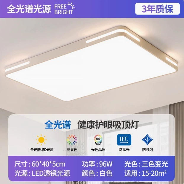 LED rectangular ceiling light, lights for living room for corridor for gazebo