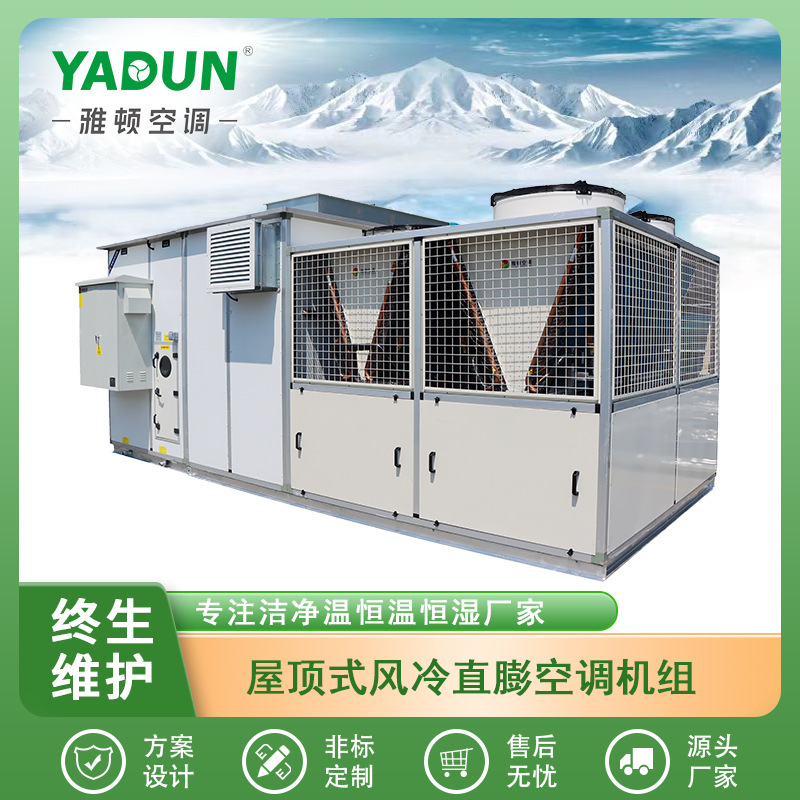 Arden Air Conditioning Source Manufacturer's Air-Cooled Integrated Variable Frequency R410A Clean-Type Constant Temperature and Humidity Air Conditioning Unit