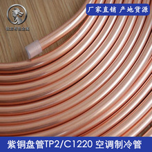 �|ݸTP2���~�P�� ���{�����~�� ���~ë���� 6.35mm 12.7mm