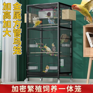 �B�\�Ӵ�̖����̖�����B�e�����û�Ƥ�W�^�\���P�˸緱ֳ�����B�\