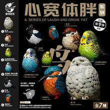 动物星球心宽体胖系列第10弹鸟鹦鹉麻雀限量潮玩手办动物模型玩具
