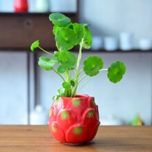 ���������J����G�}ˮ�໨ƿ��ˮ�B�~�X�ݻ������������b�С�[��