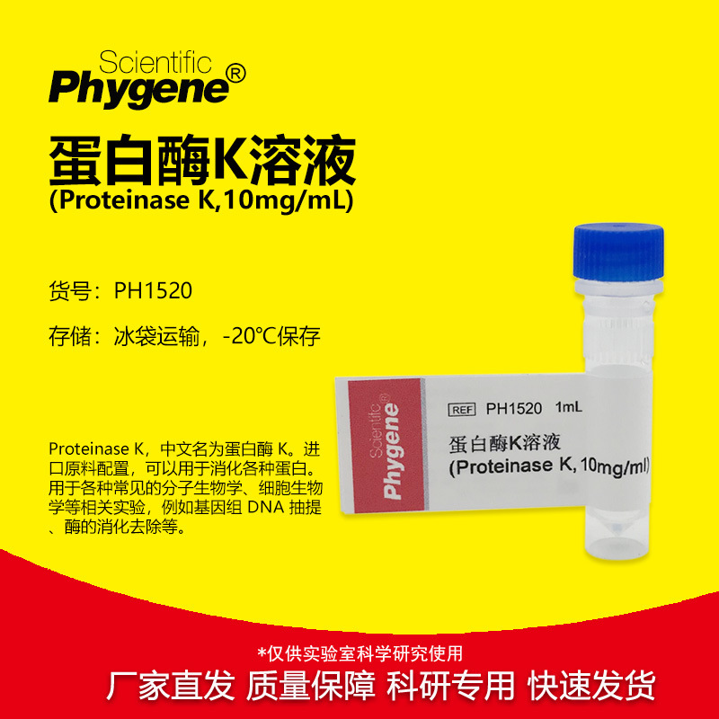 蛋白酶K溶液 (Proteinase K,10mg/ml) 1mL [PH1520 PHYGENE]