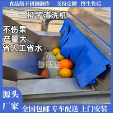 全自动辣椒气泡喷淋清洗机 大姜清洗设备 腌咸菜酸菜清洗脱盐机