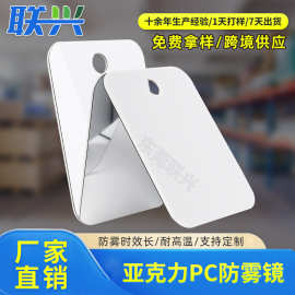 PC防雾镜片不易破损酒店浴室全身镜家用卫浴厕所挂墙剃须镜批发
