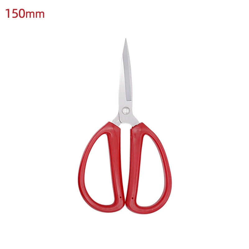 Scissors stainless steel reusable, (Physicals)