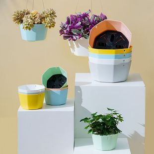 Thickened Plastic Hanging Basket Basin Hanging Flower Pot Fleshy Green Rose Hanging Basin Resin Color Self-priming Hydroponic Diaolan Basin