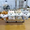 Corgi (single price}