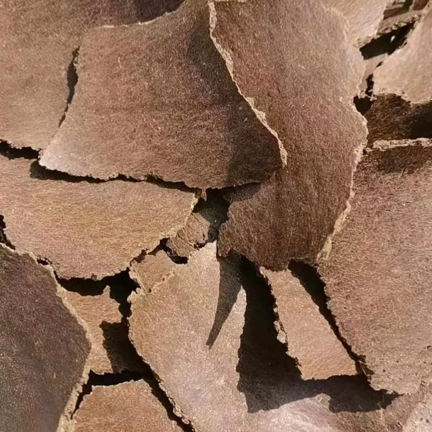 Оптовые продажи кукурузных отрубей, протеиновых кормов для птицеводства и аквакультуры, кукурузных отрубей, органических удобрений из овощей и фруктов.