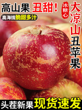 正宗大凉山丑苹果冰糖心苹果新鲜水果当季现摘四川红富士大果整箱