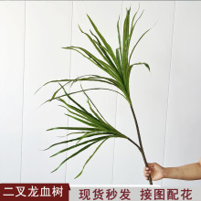 ѪGֲҾӿ͏d辰bֲƵ겼Ô[羳Gֲl