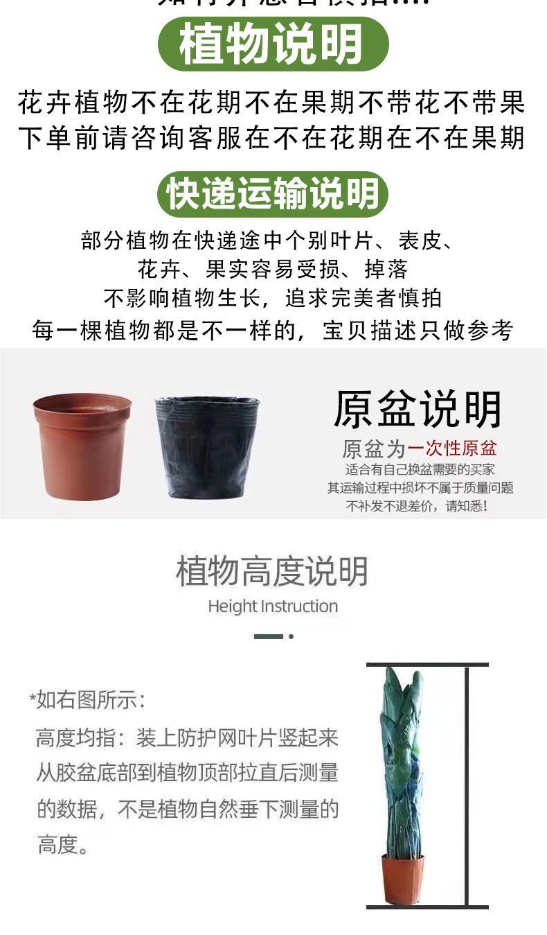 98f74ade-22f4-4aa2-8f05-c22720eddaab.png