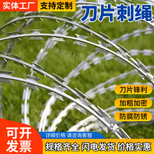 沈阳监狱看守所刀片刺绳院墙防盗防攀爬热镀锌滚笼刀片定制工厂