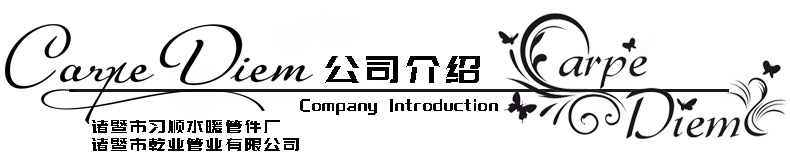 公司介绍1