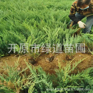 ���lɳ�ذ�С�糣�G�ر�ɳ�ذر��������Ȱ����ȰؠI�B�����ذ�