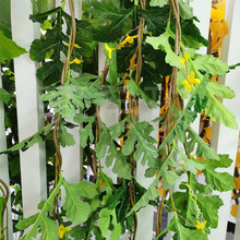 �����������Ϲ��������p�@��@�L�b��ٗl�r��ׯ���r����پGֲ