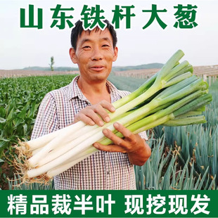 ɽ�|������[���r�߲�5�ﮔ������պ�u�L�[�r���ԷN�F�U���[���r