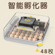 HHD小型孵化设备家禽孵化机鸽子鹌鹑48枚鸡蛋孵化器机械智能温控