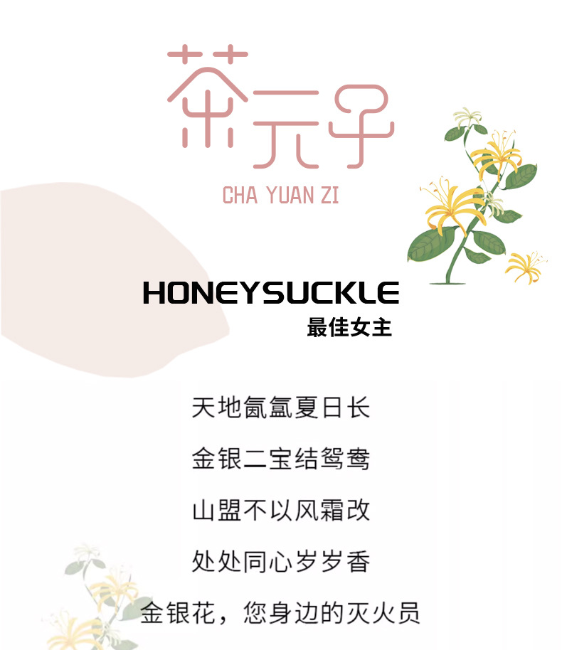 Honeysuckle Flower Tea Jin Yin Hua 50g Dried Herbal Tea for Daily Infusions overview