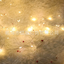 室内LED;LED装饰灯;室外LED