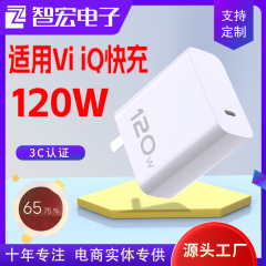 vivo120W 充電器 iqoo スーパーフラッシュ充電ヘッド C ポート 33 44 55 66 80 200W に適しています。