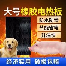 华畜兽用恒温电加热板仔猪保暖橡胶电热板保温电热板养殖场小羊垫
