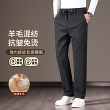 绵羊毛男裤2025秋冬商务高端休闲裤加厚宽松直筒弹力松紧腰长款子