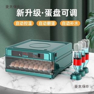 Automatic Incubator for Quail Eggs, Smart Egg Incubator, Small Water Bed, Household Incubator for Chicks, Metabo