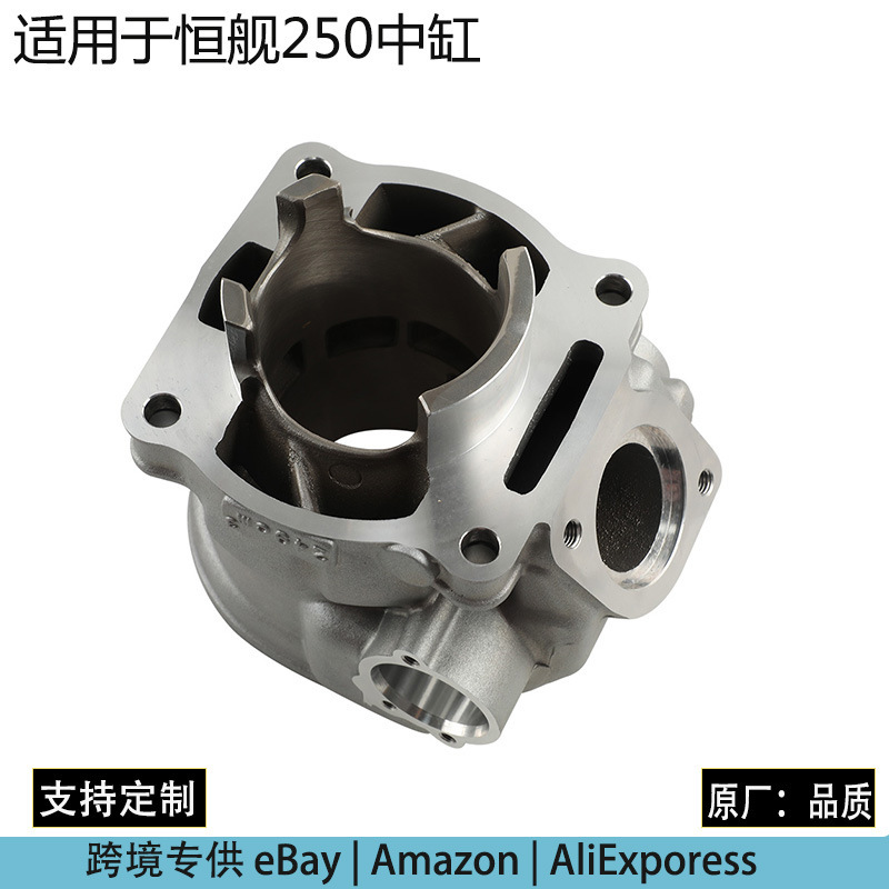ヤマハ DT230 ヘンジアン/MT250 TSE250R に適したオートバイエンジンシリンダーブロック|undefined