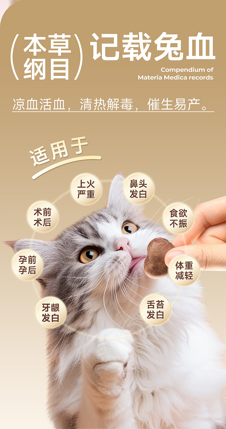 7185aa96-fd20-4df7-a33c-8f3ca488394a.jpe