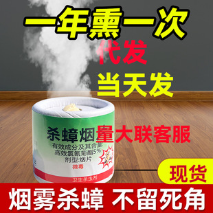 Insecticide Fumigant Fog Bomb to Kill Fleas and Cockroaches, Household Indoor Moth, Spider, Mosquito and Fly Fumigation Insecticide Fumigant Artifact