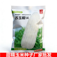 ���ߴ�9x12cm���m���K��Ŵ20̖��ɫ���׷N�������ѷN��@�Nֲ�S��