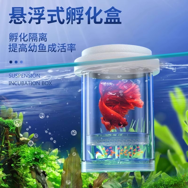 水槽孵化箱、グッピー繁殖隔離箱、小魚卵、稚魚、ゼブラフィッシュ、ベタ水槽用品、産卵|undefined